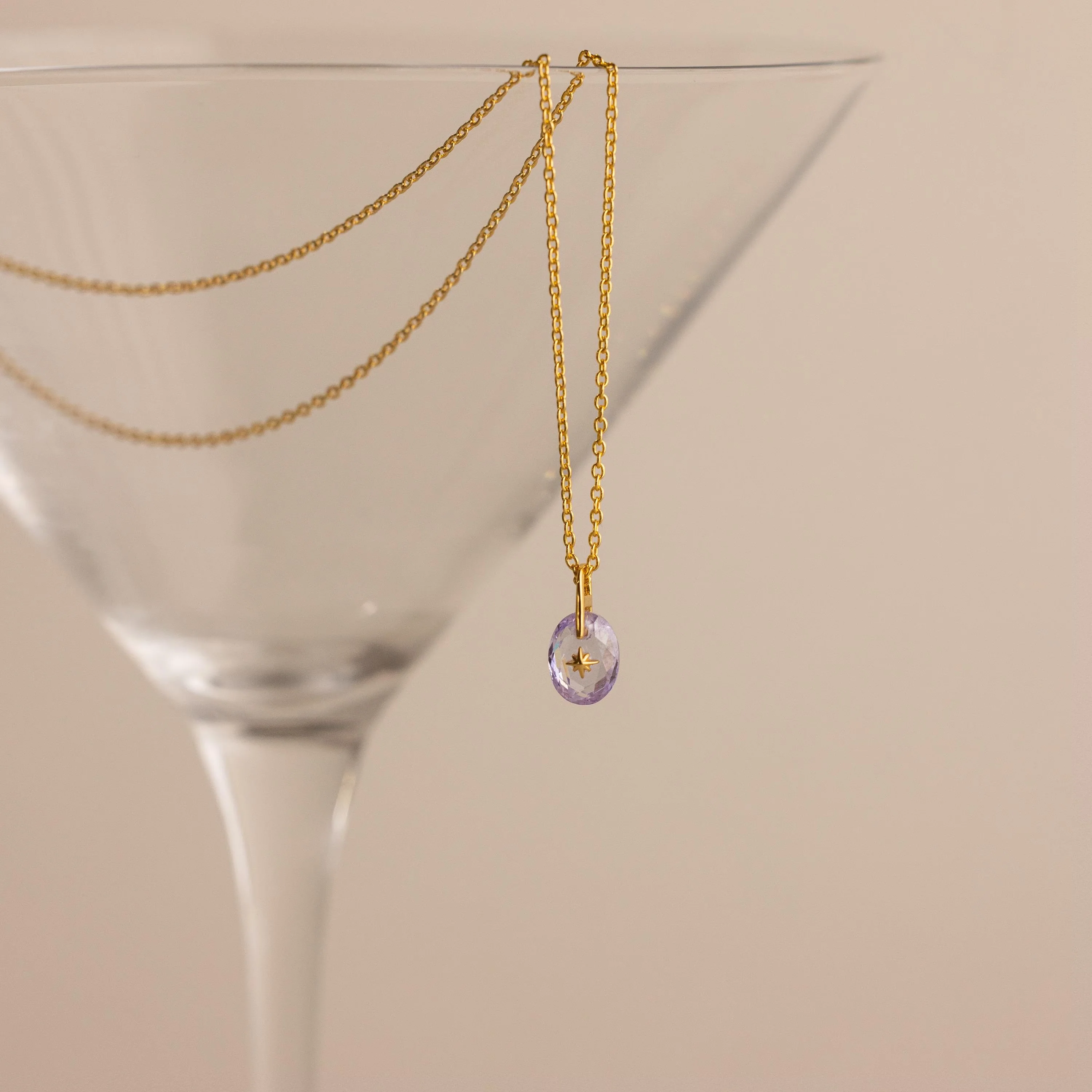 North Star Birthstone Signet Necklace - Image 15